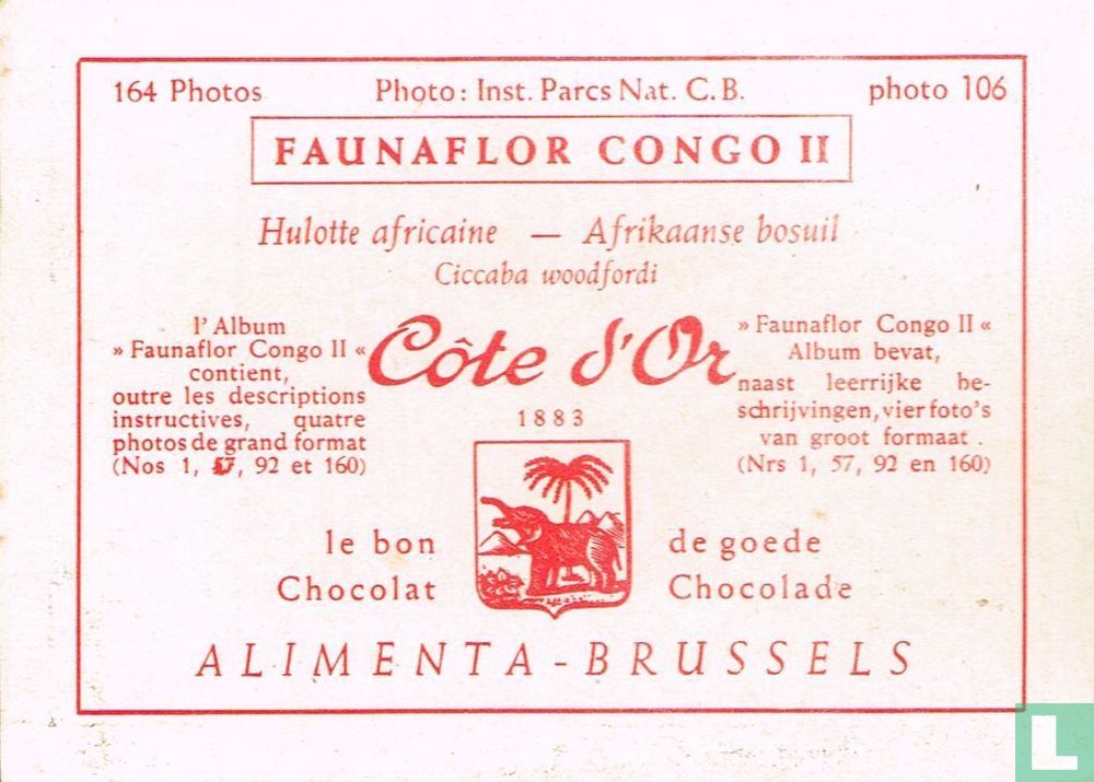 Afrikaanse bosuil