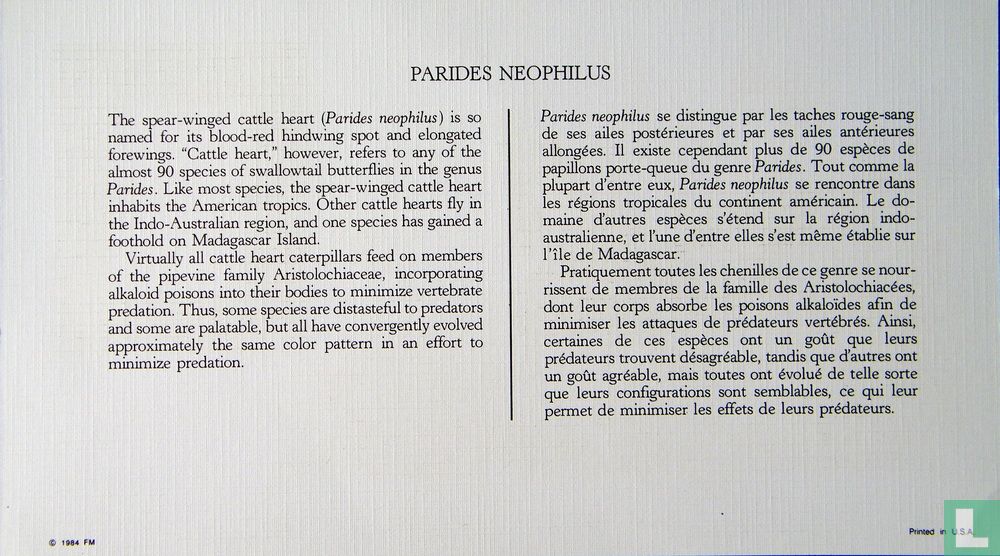 Papillons