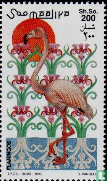 Flamingo