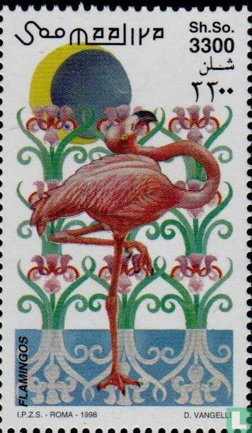 Flamingo