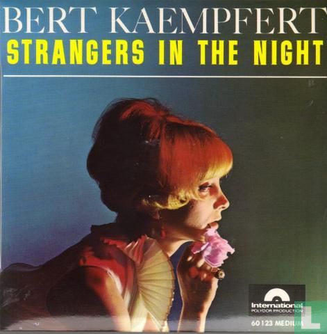 Stranger in the night