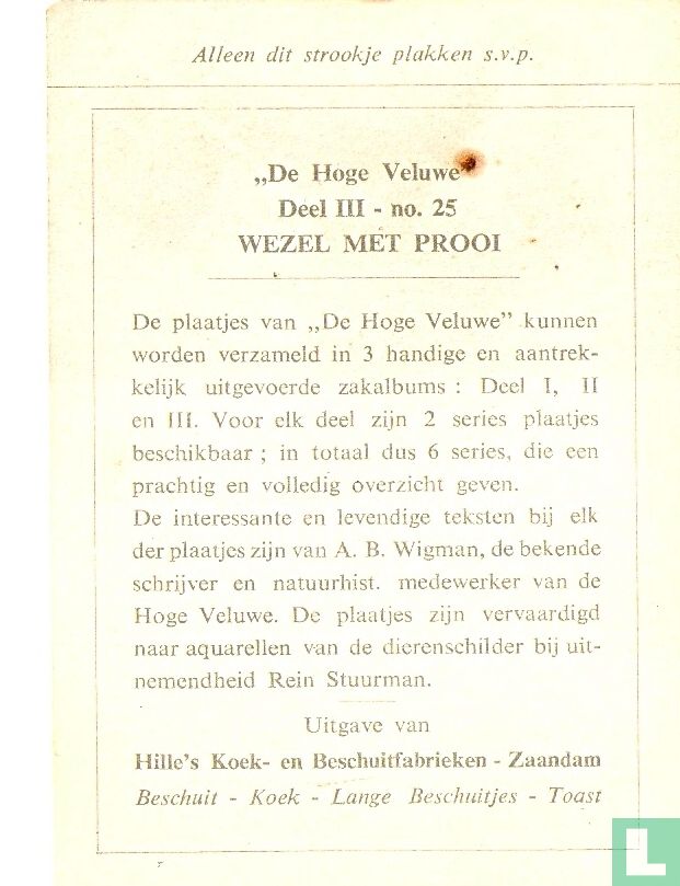 Wezel met prooi