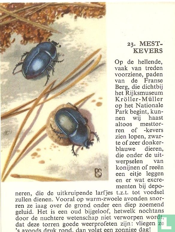 Mestkevers