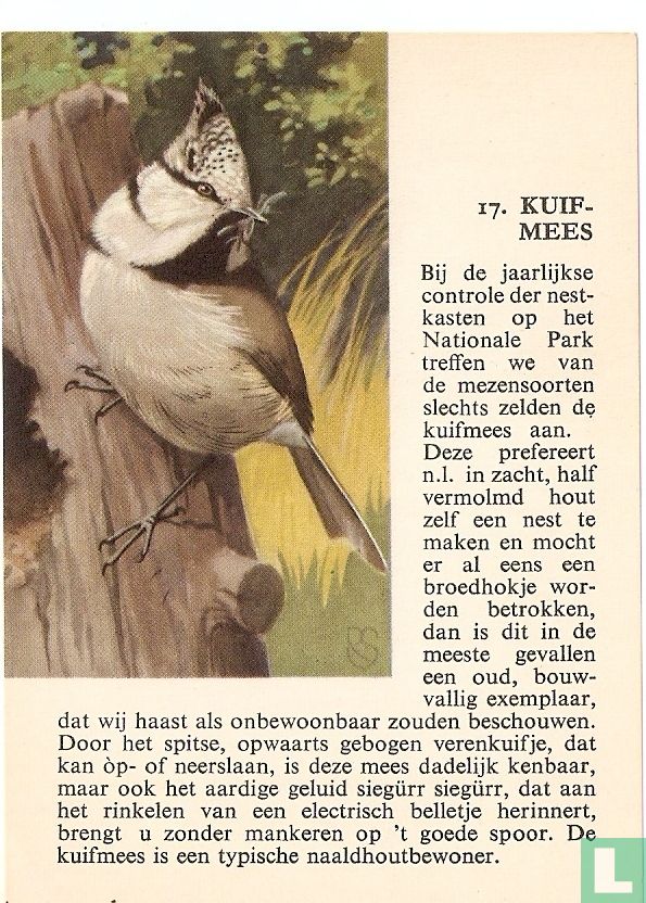 Kuifmees