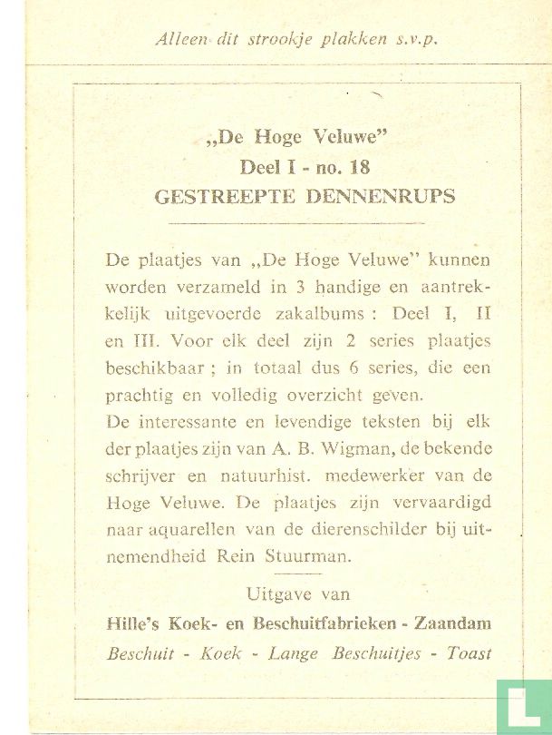 Gestreepte Dennenrups