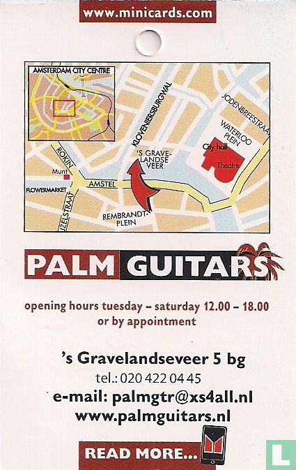 Palm Guitars