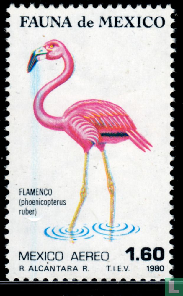 Fauna