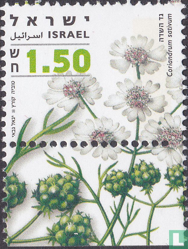 Medicinal herbs and spices