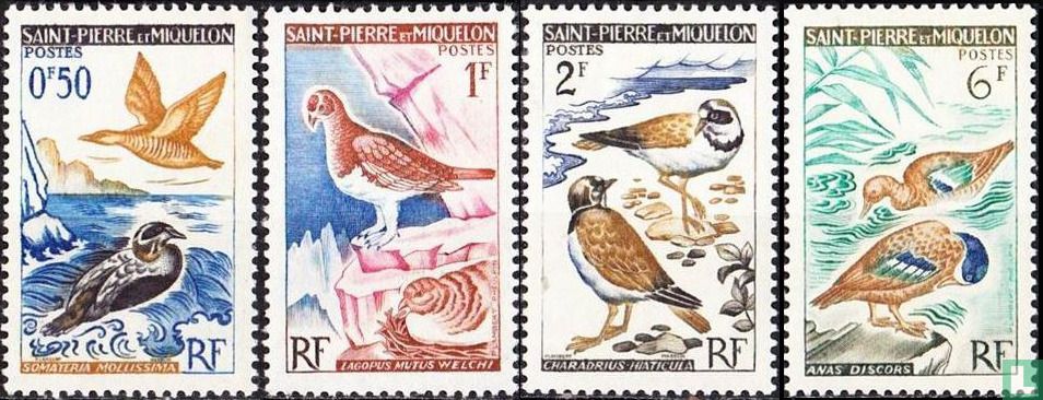 Oiseaux