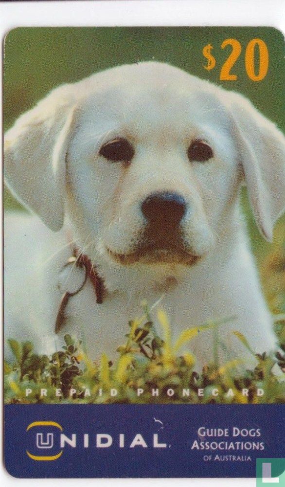 Guide Dogs Associations