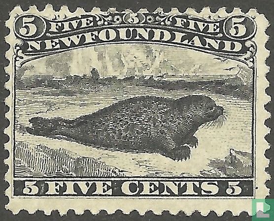 Seelöwe