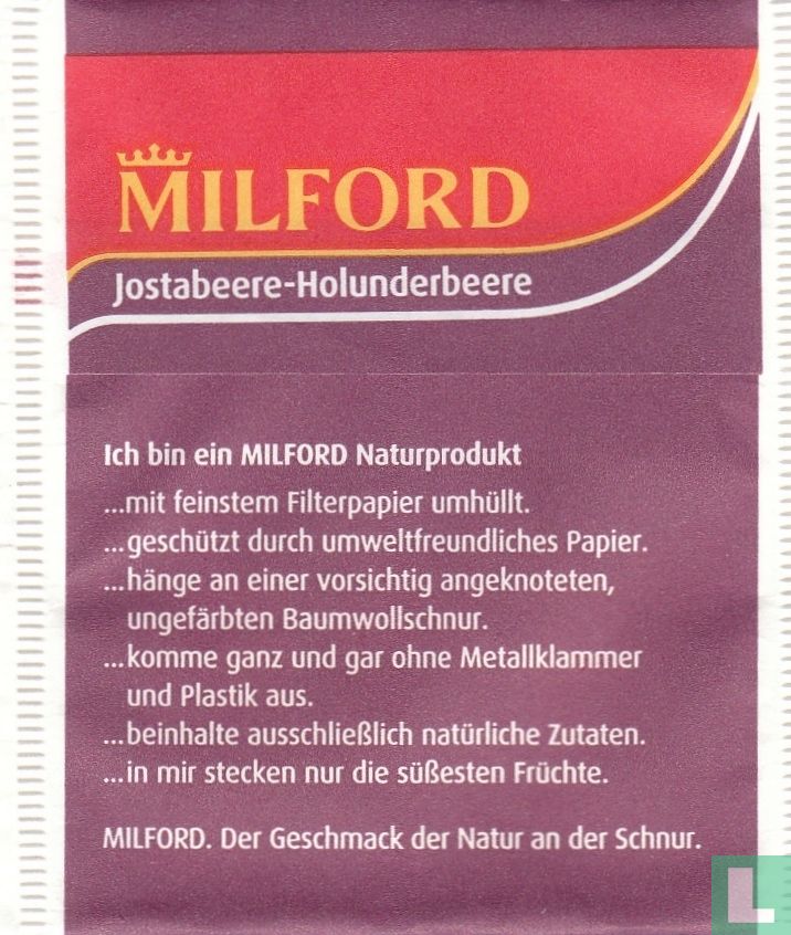 Jostabeere- Holunderbeere
