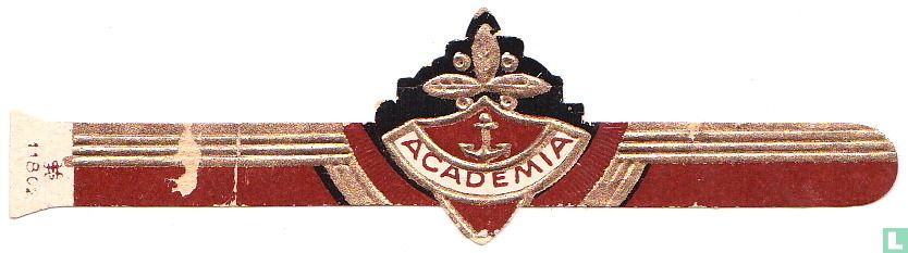 Academia 
