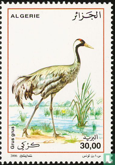 Vogels