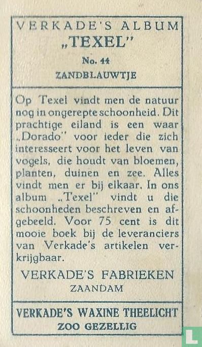 Zandblauwtje