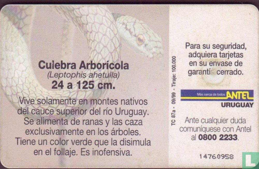 Culebra Arboricola