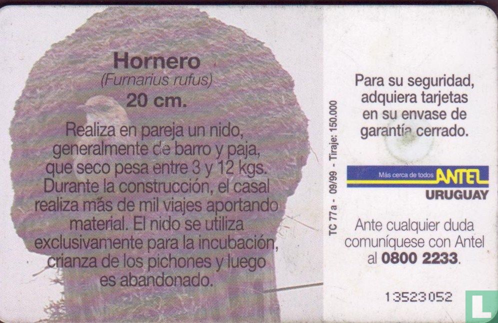 Hornero