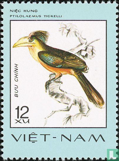 Birds
