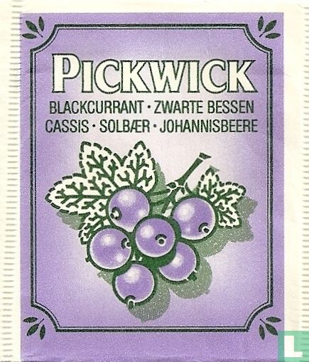 Blackcurrant-Zwarte Bessen 