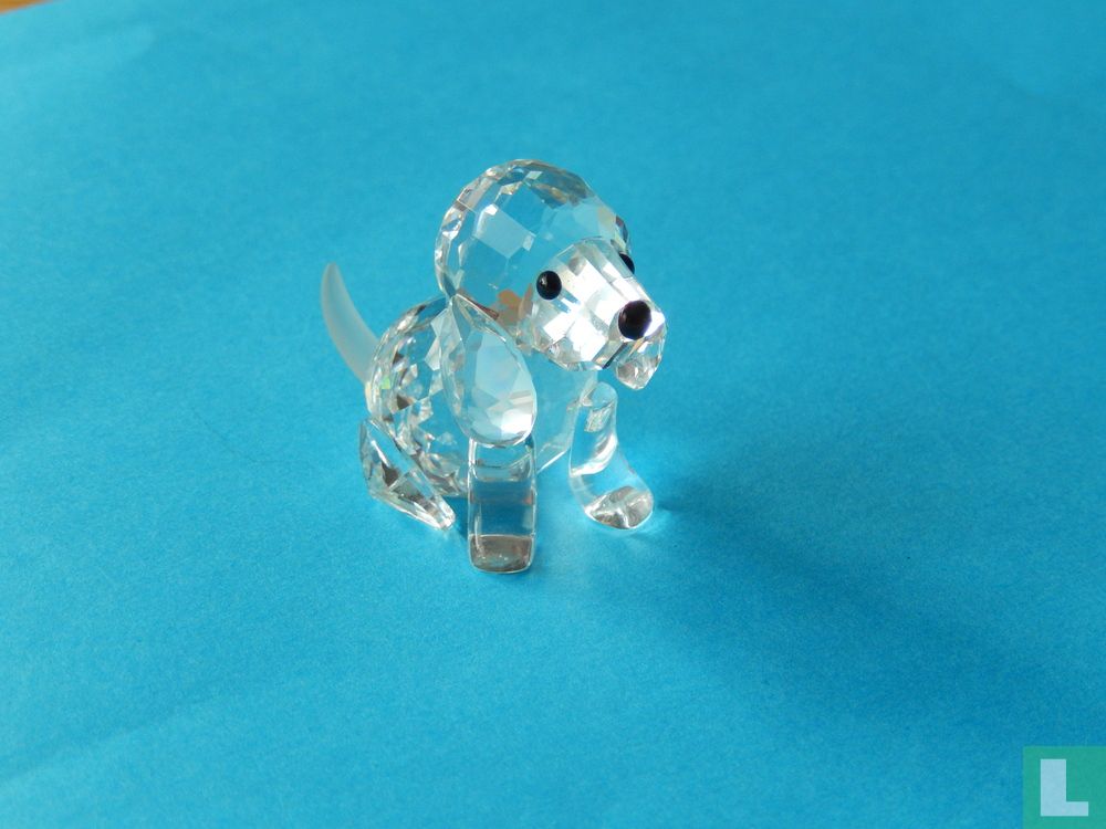 Beagle sitzend
