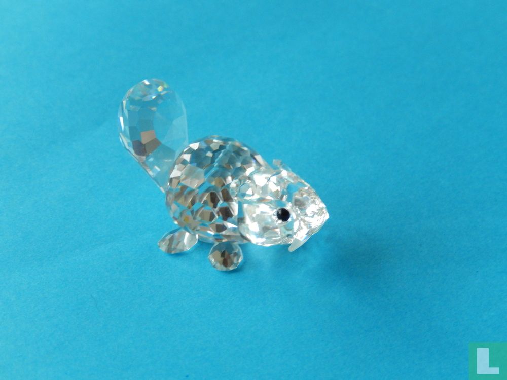 Castor (couché)