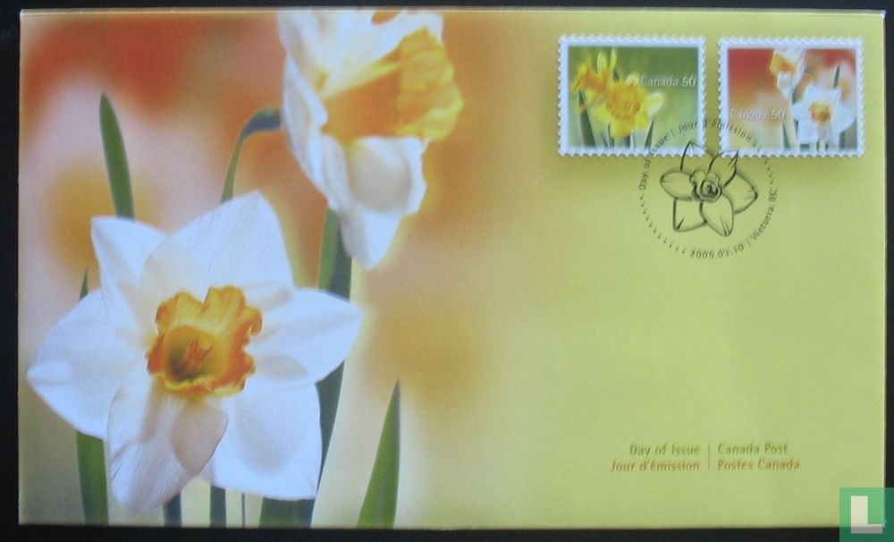 Jonquilles