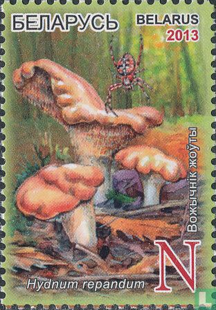Champignons  