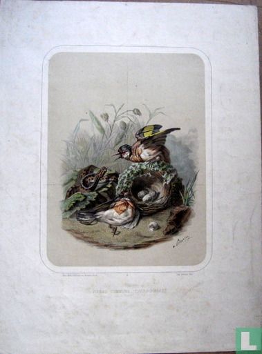 Lithographies  ca. 1840