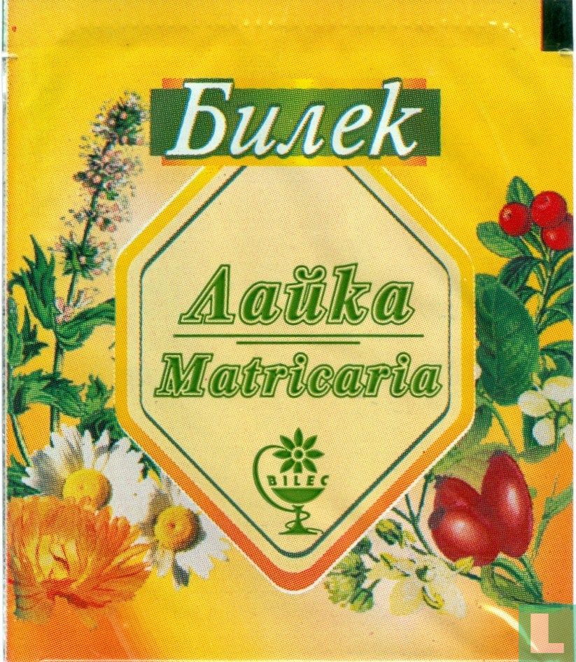 Matricaria