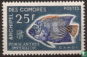 Poissons