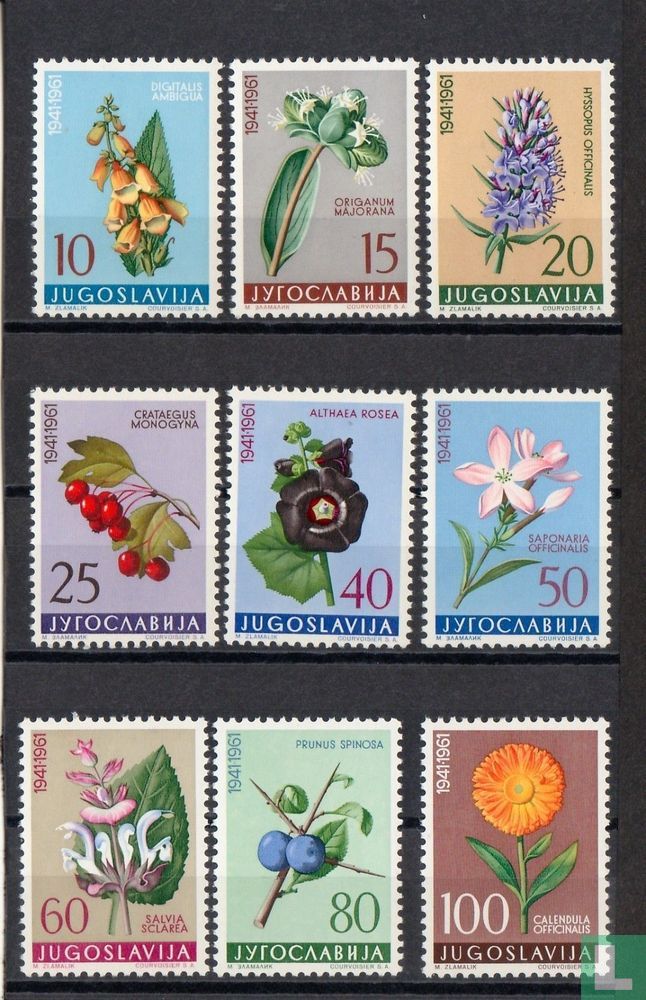 Fleurs