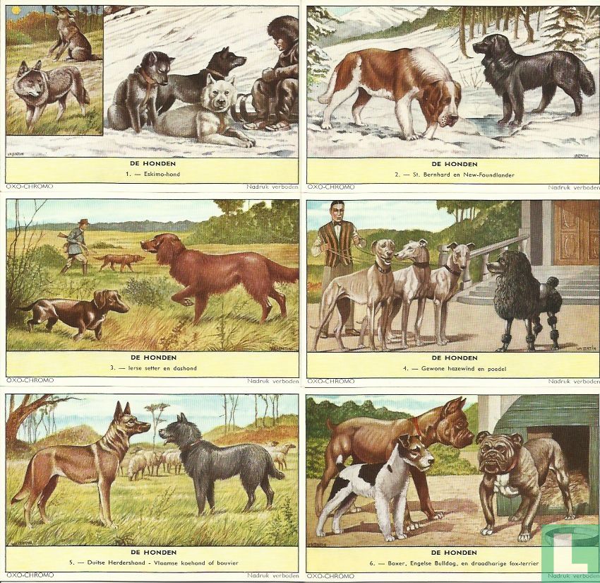 107 - De Honden