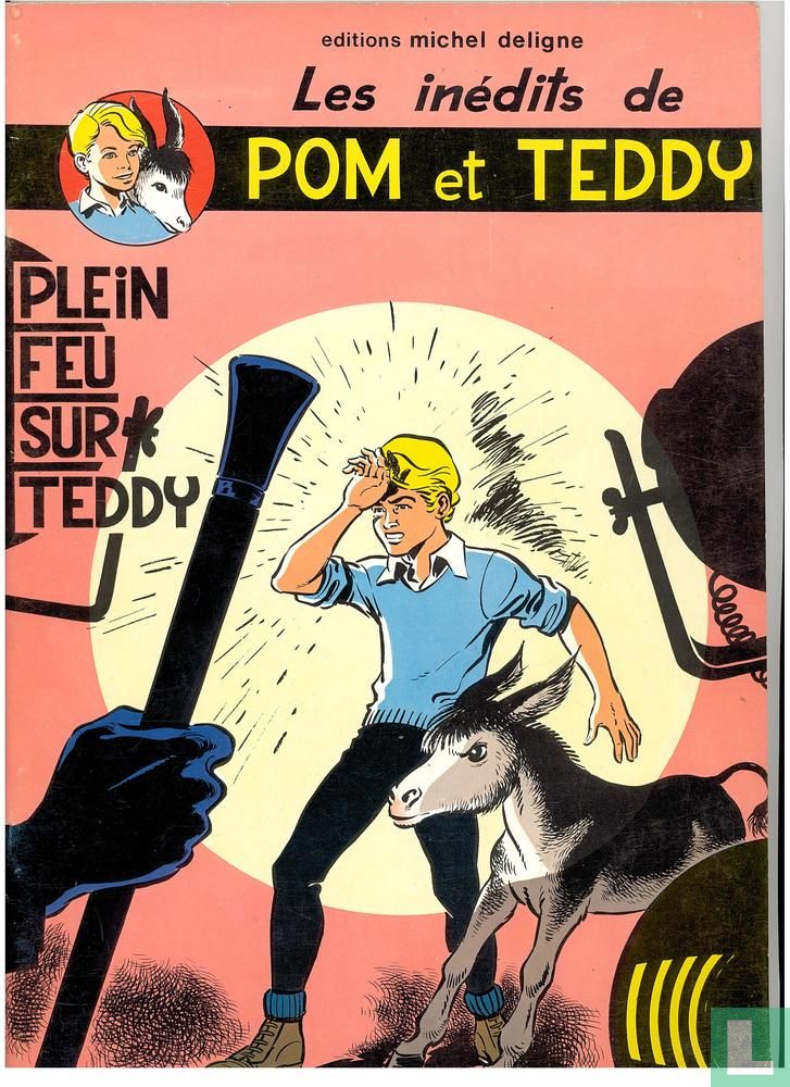 Plein feu sur Teddy