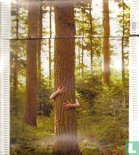 Zoet Hout 