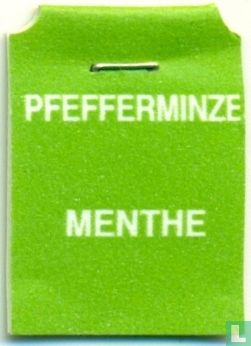 Pfefferminze Menthe