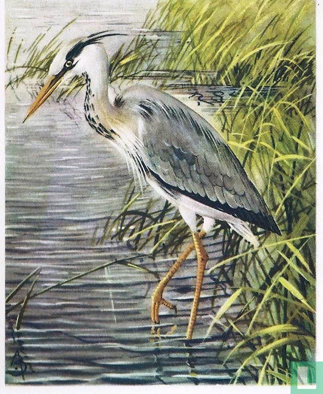 Visreiger
