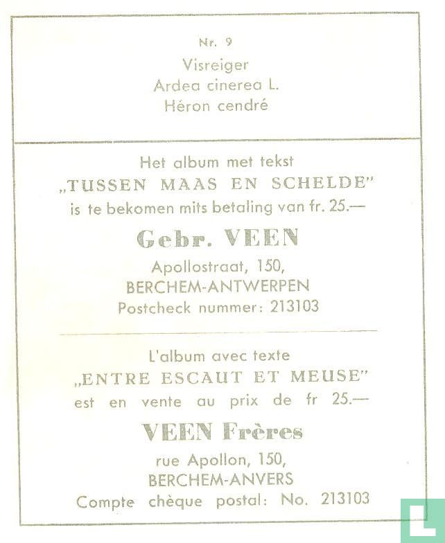 Visreiger