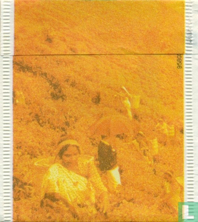 Ceylon Melange 