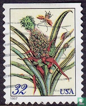 Ananas