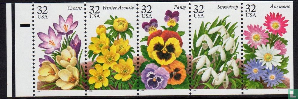 Fleurs de jardin 