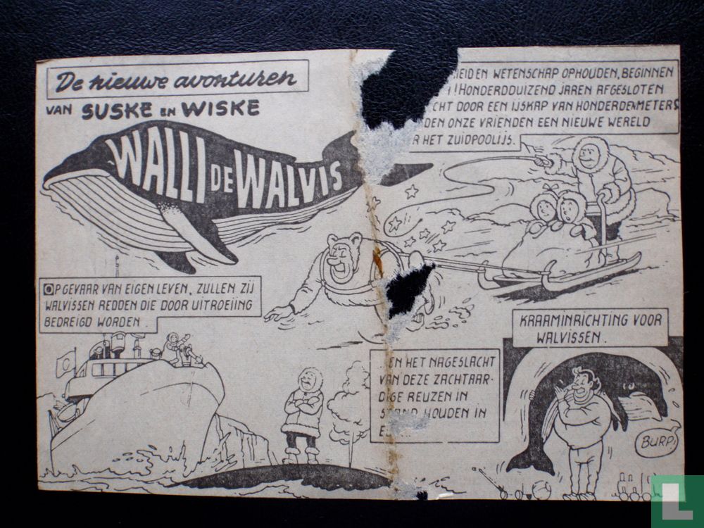 Walli de walvis