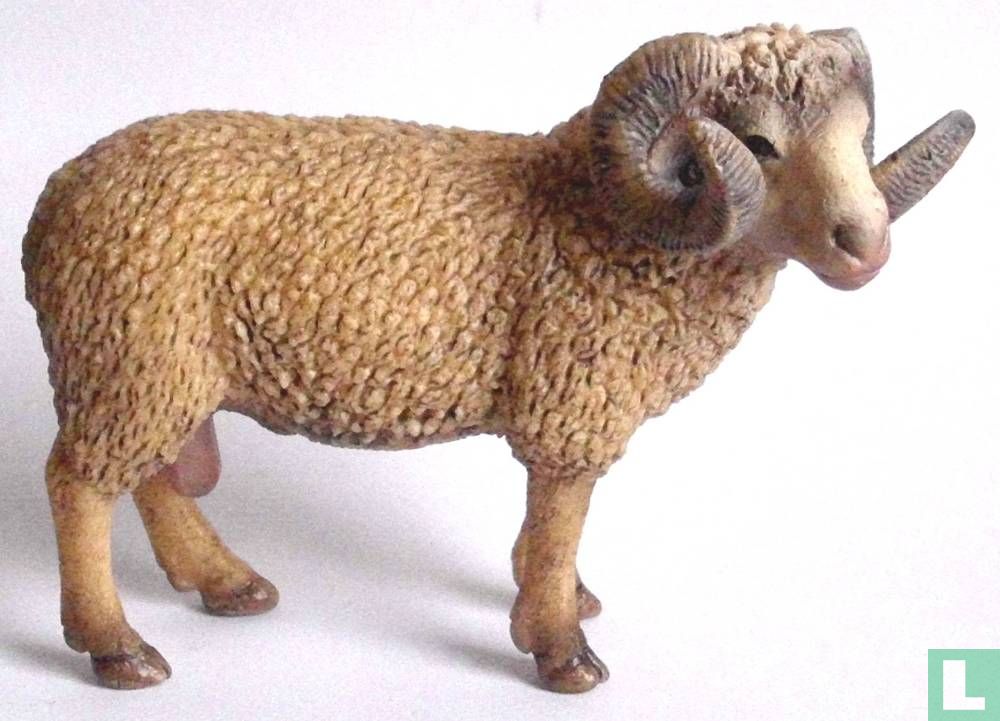 Ram
