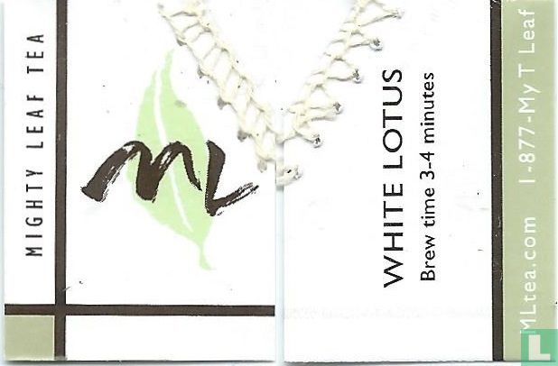 White Lotus
