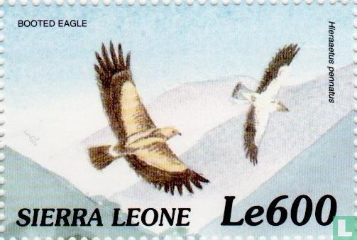 Vogels van Afrika