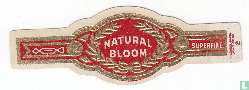 Natural Bloom - Superfine