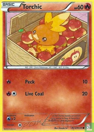 Torchic