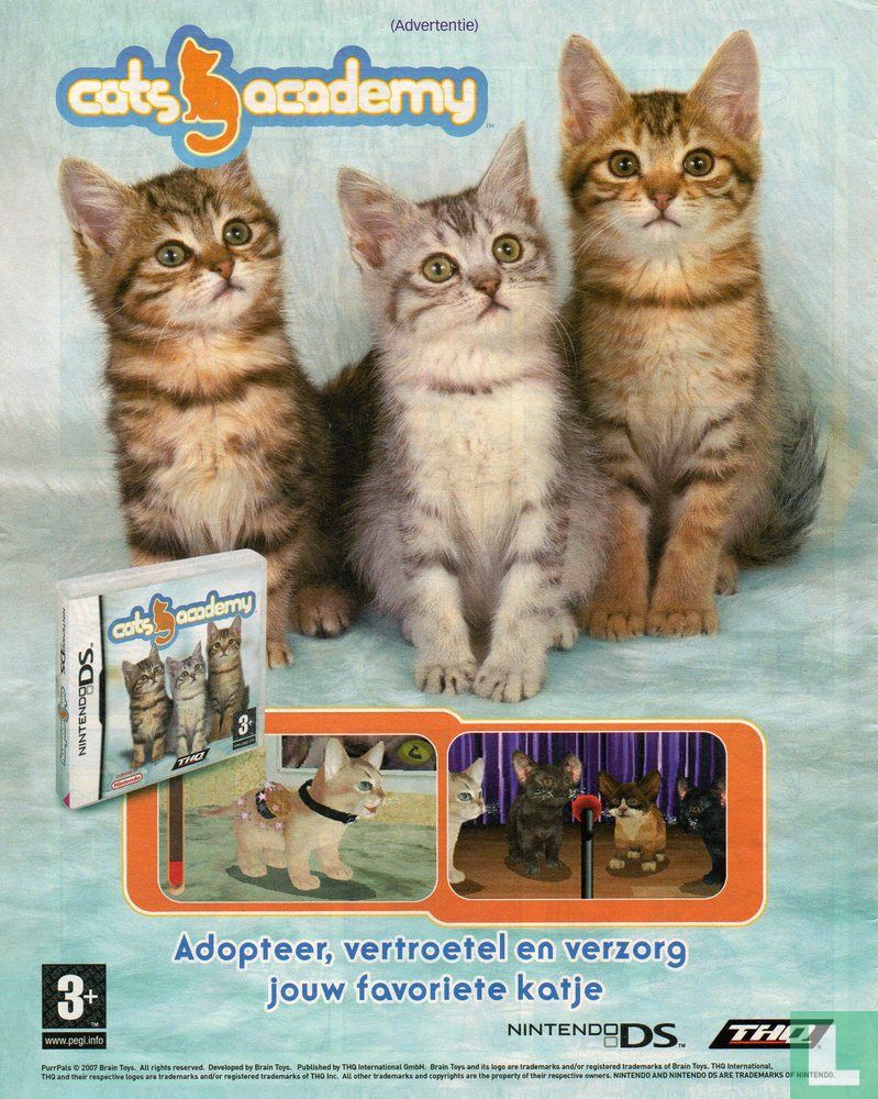 cat academy