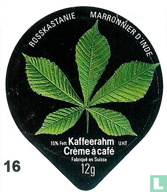 Rosskastanie     
