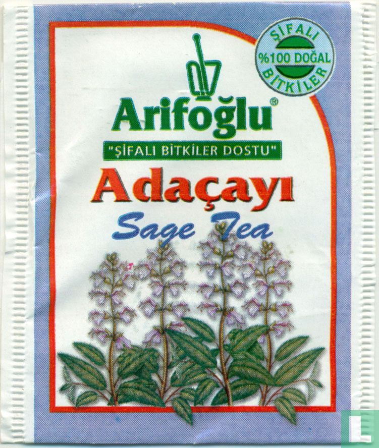 Adaçayi