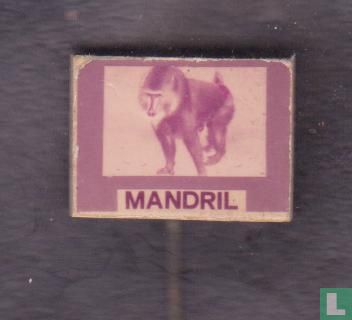Mandril